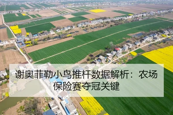 谢奥菲勒小鸟推杆数据解析：农场保险赛夺冠关键