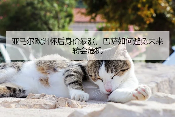 亚马尔欧洲杯后身价暴涨，巴萨如何避免未来转会危机