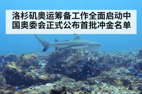 洛杉矶奥运筹备工作全面启动中国奥委会正式公布首批冲金名单
