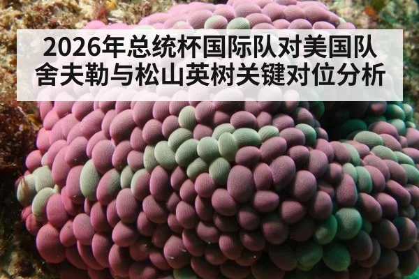2026年总统杯国际队对美国队舍夫勒与松山英树关键对位分析